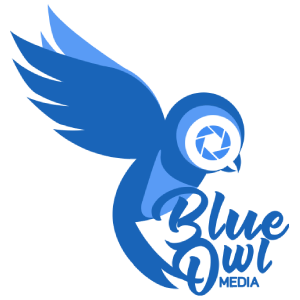 BlueOwl Media